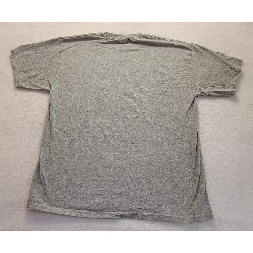 Alstyle Life Begins At 30 To‎ Suck Graphic T-Shirt Gray Men's XL Funny B-day Tee